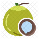 Coconut  Icon