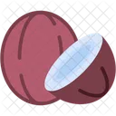 Coconut  Icon