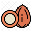 Coconut Vegetables Organic Icon