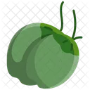 Coconut  Icon