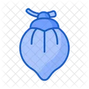 Coconut  Icon