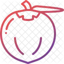 Coconut  Icon