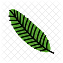 Coconut Leaf Coco Leaf Coconut Symbol