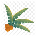 Leaves Tropical Coconut Icon
