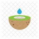 Coconut Oil Oil Coconut Icon
