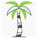 Coconut Palm Houseplant Plant Icon