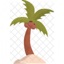 Coconut Palm  Icon