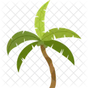 Coconut Palm Palm Tree Beach Icon