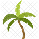 Coconut palm  Icon