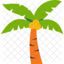 Palm Tree Coconut Icon