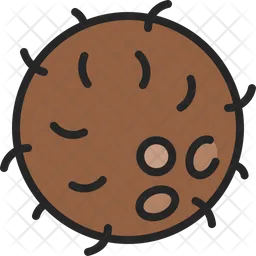 Coconut shell  Icon