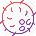 Coconut shell  Icon