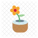 Coconut Shell Vase Coconut Craft Home Decor Icon