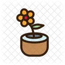 Coconut Shell Vase Coconut Craft Home Decor Icon