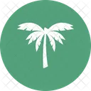 Beach Coconut Tree Icon