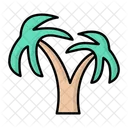 Coconut Tree Palm Tree Palm Icon