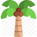 Coconut tree  Icon