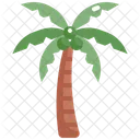 Coconut Tree Nature Icon