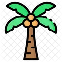 Coconut Palm Tree Icon