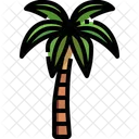 Coconut Tree Tree Palm Tree Icon