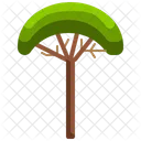코코넛 나무  아이콘