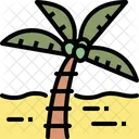 Coconut Tree  Icon
