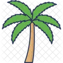 Coconut Tree Palm Tree Tropical Tree Icon