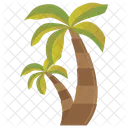 Palm Coconut Date Icon