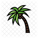Coconut Tree Palm Tree Palm Icon
