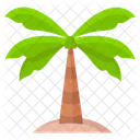 Palm Tree Coconut Tree Botanical Icon