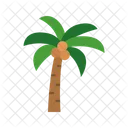 Coconut Tree  Icône