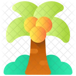 Coconut Tree  Icon