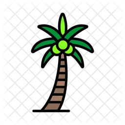 Coconut tree  Icon