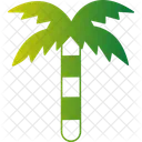 Coconut Tree  Icon