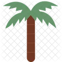 Coconut Tree  Icon