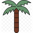 Coconut Tree  Icon