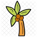 Coconut Tree  Icon