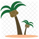 Coconut Tree  Icon