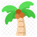 Coconut tree  Icon