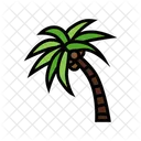 Coconut Tree Palm Tree Palm Symbol