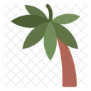 Coconut Tree  Icon