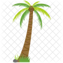 Palm Tree Palm Nature Icon
