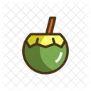 Coconut Water Food Snacks Icon