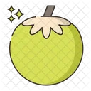 Coconut Water Coconut Fruit Icon