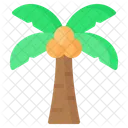 Coco Palmera Arbol Icono