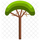 Árbol de coco  Icono