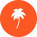 Arbol De Coco Icon