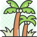Cocount Tree  Icon