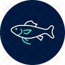 Cod Ocean Marine Icon