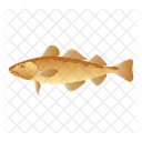 Cod Fish  アイコン